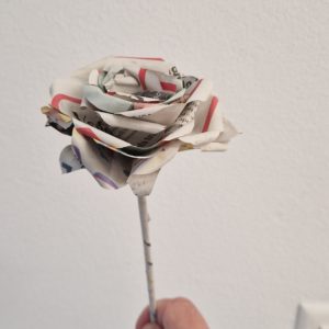 Rosa di carta