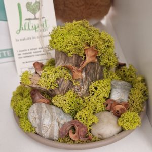 Lilliput